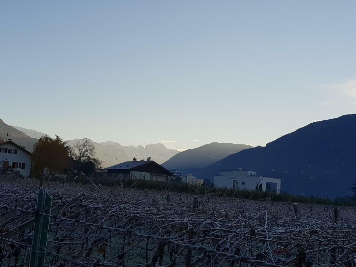 Domus Rose Rooms Bolzano Ngoại thất bức ảnh