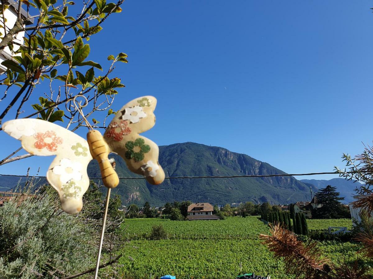 Domus Rose Rooms Bolzano Ngoại thất bức ảnh