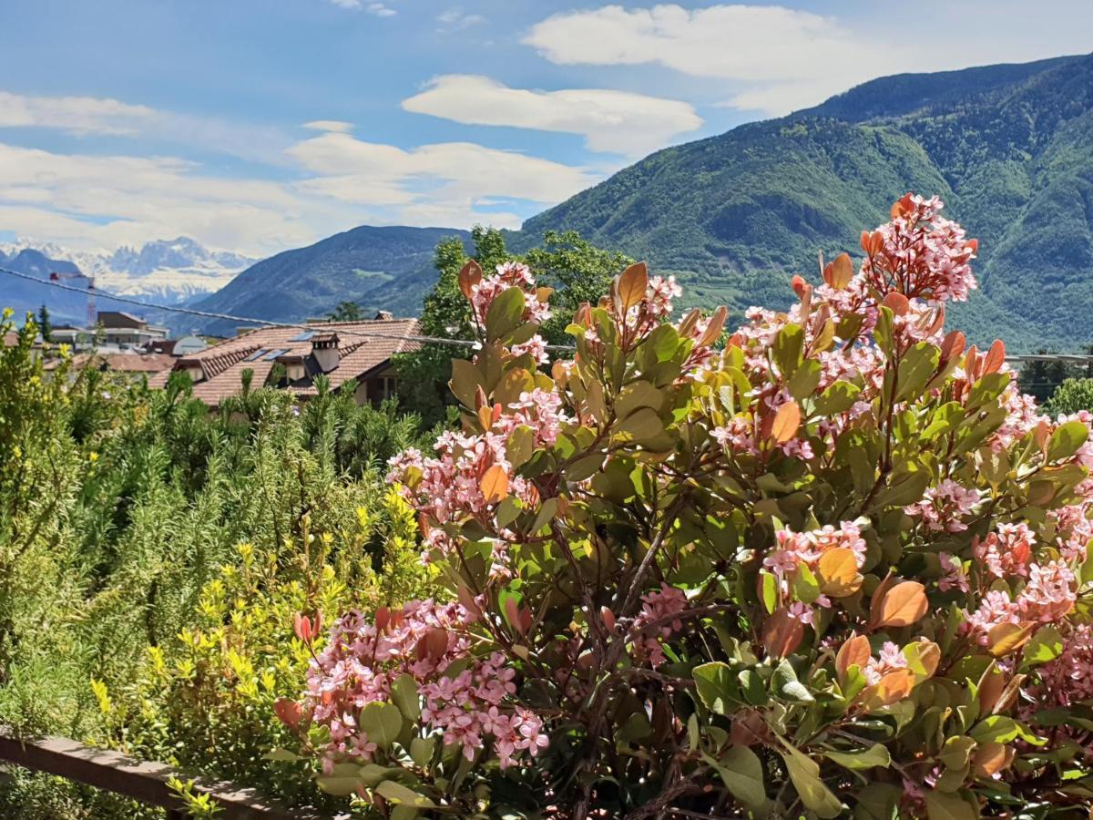 Domus Rose Rooms Bolzano Ngoại thất bức ảnh